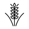 Vector farm wheat ears icon template. Whole grain symbol illustration. Simple oat growth design concept. Farm agriculture oat sign Royalty Free Stock Photo