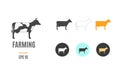Vector farming infographic template. Color cow icon for your illustration or presentation