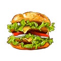 Vector Fast Food Hamburger Classic Burger American Cheeseburger With Lettuce Tomato Onion Cheese Beef And Sauce Isolated