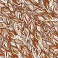 Vector Feather background Royalty Free Stock Photo