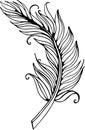 Vector feather illustration