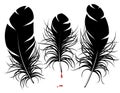 Vector feather silhouette