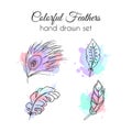 Vector feathers set. Hand drawn ethnic elements. Sketchy feather. Royalty Free Stock Photo