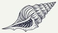 An intricate line art illustration of a long, spiral whelk seashell, vector design Generative AI Royalty Free Stock Photo