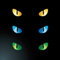 Vector feline eyes Royalty Free Stock Photo