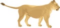 vector Female lion Lioness