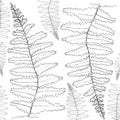 Vector fern silhouette collection. Black isolated prints of fern leaves on the white