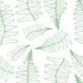 Vector fern silhouette collection. Green prints of fern leaves on the white