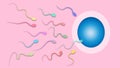 Vector of fertilization , colorful sperm