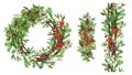 Vector festive wreath whith mistletoe, cone, branch, holly isolated on white background Royalty Free Stock Photo