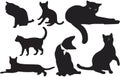 Vector figure cat outline cleaning sitting curious walking action character solid black color isolated white background