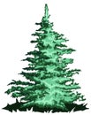 Big Pine tree