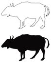 Cattle or cow silhouette