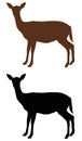 Doe or deer silhouette - hoofed ruminant mammal Royalty Free Stock Photo