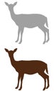 Doe or deer silhouette - hoofed ruminant mammal Royalty Free Stock Photo