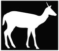 Doe or deer silhouette - hoofed ruminant mammal Royalty Free Stock Photo