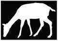 Doe or deer silhouette - hoofed ruminant mammal