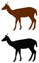 Doe or deer silhouette - hoofed ruminant mammal Royalty Free Stock Photo