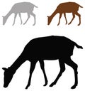 Doe or deer silhouette - hoofed ruminant mammal Royalty Free Stock Photo