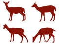 Doe or deer silhouette - hoofed ruminant mammal Royalty Free Stock Photo