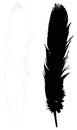 Feather silhouette - epidermal growths that form the distinctive outer covering, or plumage, on birds