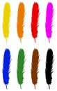 Feather silhouette - epidermal growths that form the distinctive outer covering, or plumage, on birds