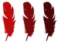 Feather silhouette - epidermal growths that form the distinctive outer covering, or plumage, on birds