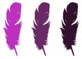 Feather silhouette - epidermal growths that form the distinctive outer covering, or plumage, on birds