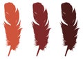 Feather silhouette - epidermal growths that form the distinctive outer covering, or plumage, on birds