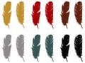 Feather silhouette - epidermal growths that form the distinctive outer covering, or plumage, on birds