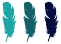 Feather silhouette - epidermal growths that form the distinctive outer covering, or plumage, on birds