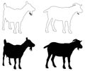 Goat silhouette - farm animal Royalty Free Stock Photo