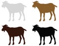Goat silhouette - farm animal Royalty Free Stock Photo