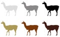 Llama silhouette - wildlife animal