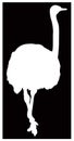 Ostrich or flightless bird silhouette