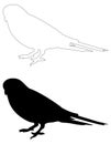 Parrot silhouette - tropical and subtropical bird