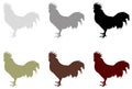 Rooster silhouette - cockerel or cock, farm bird