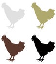 Rooster silhouette - cockerel or cock, farm bird