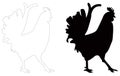 Rooster silhouette - cockerel or cock, is a male gallinaceous bird