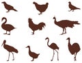 Various birds silhouette - group of endothermic vertebrates, characterised by feathers, toothless beaked jaws, the laying of hard-