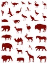 Wild animals silhouette - undomesticated animal species