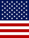 Vector US Flag icon