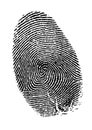 Vector fingerprint Royalty Free Stock Photo