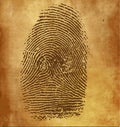 Vector fingerprint