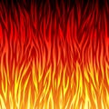 Vector fire background Royalty Free Stock Photo