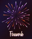 Vector firework illustration