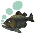 Vector fish black bass