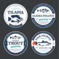 Vector fish round labels and design elements