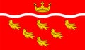 Vector flag of East Sussex County, England. United Kingdom.