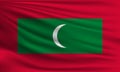 Vector flag of Maldives Royalty Free Stock Photo